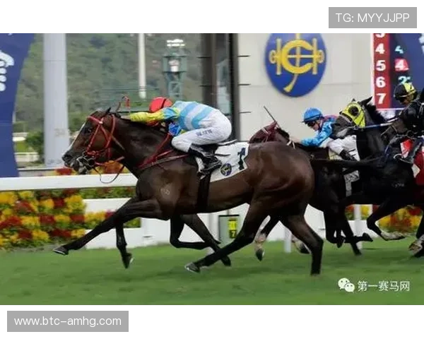 hkjc体育：如何选择合适的香港赛马会体育投注项目提升中奖几率